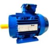 Silnik elektryczny 7.5kW - Tamel 3SG132S-2B-IE3