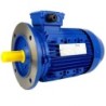 Silnik elektryczny 3.0kW - Tamel 3SG100L-4B-IE3